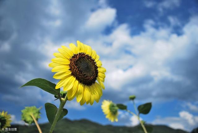 curly是什么意思（最常见的以-ly结尾的形容词）