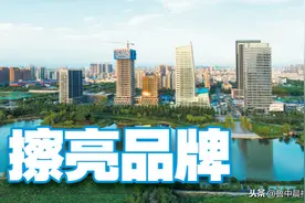 对标深圳 淄博已酝酿许久图片