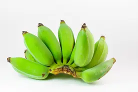 香蕉、芭蕉傻傻分不清楚图片