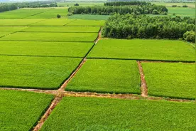 以前农村土地是按人数均分，在承包过程中有农民卖了，以后怎么办图片
