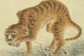 老虎被画成"病猫"，为何被誉为传世名画？专家：你放大5倍看看图片