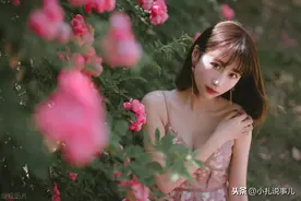 不以盈利为目的，发黄色网站给别人，违法吗？图片