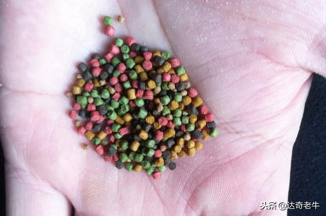 漫谈基础饵：高蛋白颗粒、开口料、能量料的钓鱼选择和避坑技巧