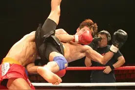 中国武术沾衣十八跌高手，散打北域四跤王图片