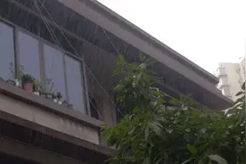 -怎么整个夏天城市都在下雨图片
