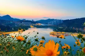 我就知道你会这么说图片