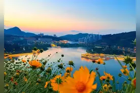 我就知道你会这么说图片