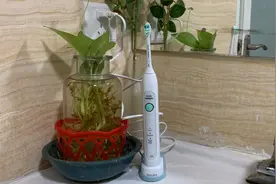 电动牙刷怎么用？飞利浦HX6730/02开箱+使用体验→口腔溃疡的建议图片