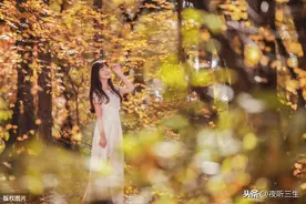【夜听三生】总能图片