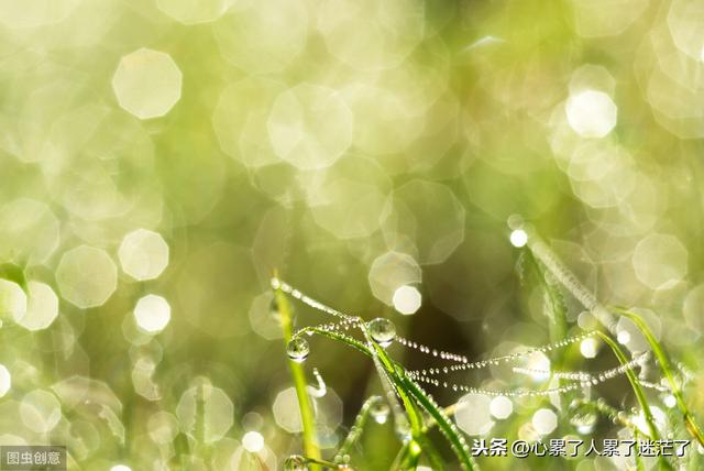 人生感悟：空虚寂寞冷，都是因为懒散堕落闲