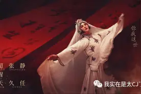 她们是真的饭圈大佬图片