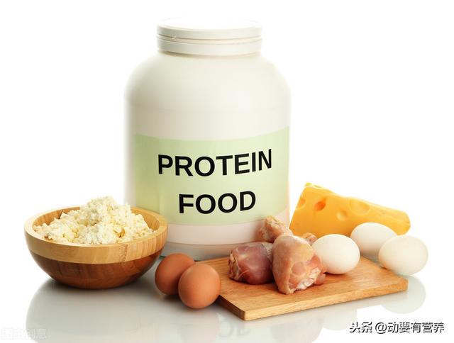 科普文运动与各类营养