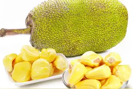 菠萝蜜吃过了，但是它的核吃过吗？千万别丢了，用处大得很图片