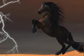 野马被狼群围攻，扬蹄踢飞一只扑向自己的狼，狼的头盖骨都碎了图片