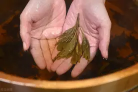 养生好物艾草，究竟有多养生？提醒：“百利”的艾草也有3“害”图片