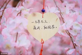 非常给力的搜索软件，赶紧上车图片