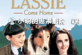 小明的宠物影评推荐——《灵犬莱西》图片