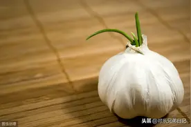 可可日记——种蒜图片
