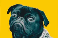 iOS限免 | 语音定时器、优质软件，限时免费图片