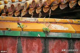 故事：轮回：他梦见死去的人对他说：“我来讨债了”，然后，儿子出生了图片