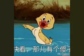 猫和老鼠之开学图片