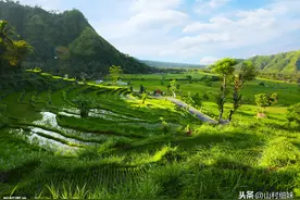 水稻灌浆、成熟期易倒伏？找出原因，4点预防方法送给你图片