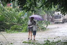 最是风雨故人来图片