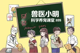 狗狗的哪些举动暗示它吃醋了呢？小醋怡情，大醋伤身呀图片