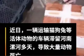 “数千宠物滞留物流园死亡”现场有韵达快递单，工作人员回应：系他人假冒图片