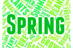 Spring AOP竟然会导致Bean注入失败图片