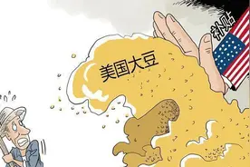中国大豆并不是败给了美国转基因大豆，而是败给了我们中国人自己图片