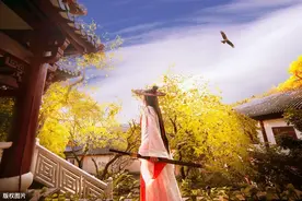 红颜薄命？好莱坞都是大片？ 其实是幸存者偏差图片
