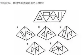 最强大脑的他21秒拿下双冠：从小培养孩子这类思维，5年级时不愁图片