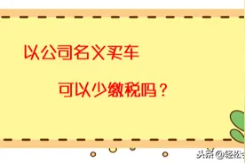 据说以公司的名义买车可以少缴税？实力揭秘买车“内幕”图片
