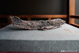 “雷击木”20000元/吨，什么是“雷击木”？它为啥这么贵？图片