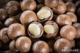 这么多“坚果”，哪一种是你的最爱？图片