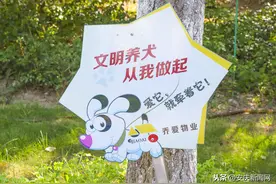 安庆：文明养犬 我们不掉“链”图片