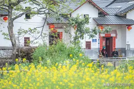 俗语：门前不栽竹，屋后不种树，啥意思？为啥门前不能种竹子？图片