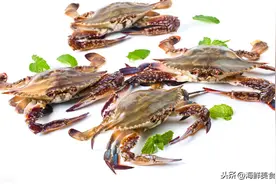 全球常见的螃蟹大全，你认识几种，帝王蟹和皇帝蟹真的不一样图片