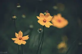 女人不爱你了，往往会有这3个表现图片