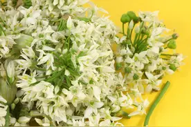 韭菜花不只能做酱，用它包饺子绝对新颖又美味图片