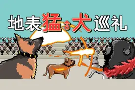 10种世界级烈犬 究竟谁是地表最猛？图片