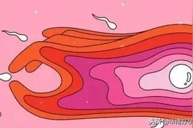 “卵子”排出后，能存活几天？一旦发现三个舒服感觉，就是排卵了图片