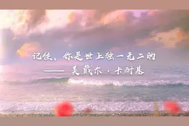 你就做你自己吧，其他角色都已经有人了图片