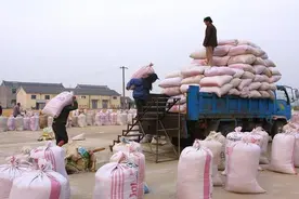 水稻卖了1.45元一斤，一亩地有1200元的收入，明年扩种图片