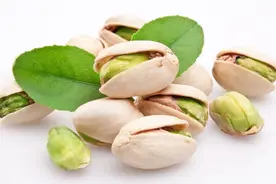 开心果那么贵，为何很少有人种植？图片