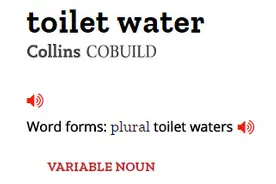 老外买的toilet water是什么？厕所水吗？别误解啦图片