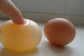 怎样从母鸡产的蛋的颜色、形状、硬脆度方面来判断蛋鸡的疾病？图片
