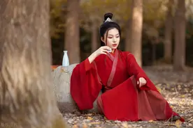旧版《鹿鼎记》第一百一十一回 妙语解厄图片