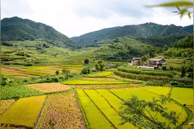 沂蒙山脱贫记图片